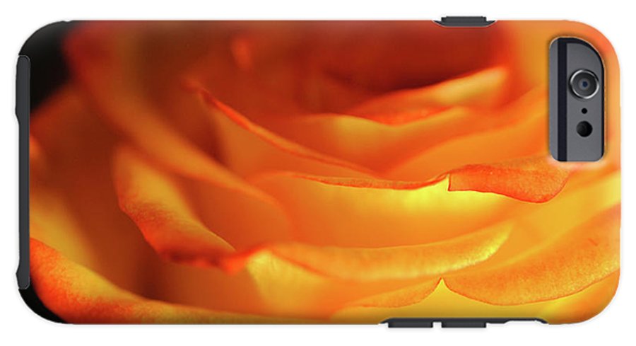Orange Rose Close Up - Phone Case