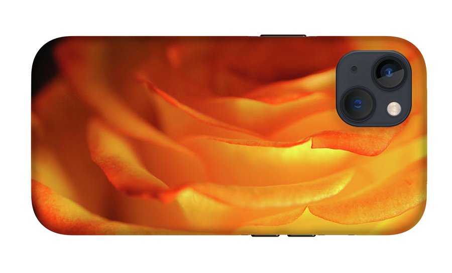 Orange Rose Close Up - Phone Case