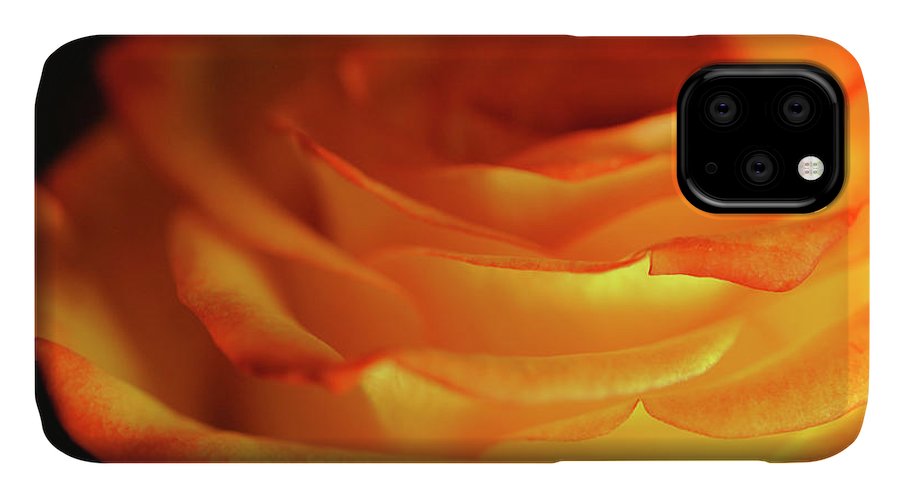 Orange Rose Close Up - Phone Case