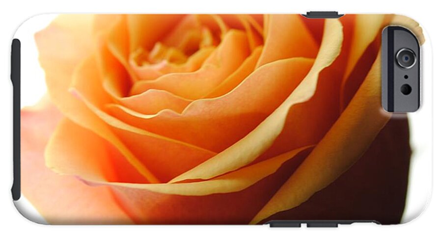 Orange Rose On White - Phone Case