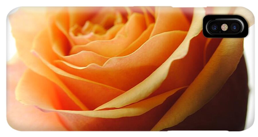 Orange Rose On White - Phone Case
