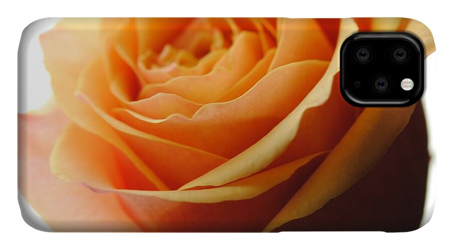 Orange Rose On White - Phone Case