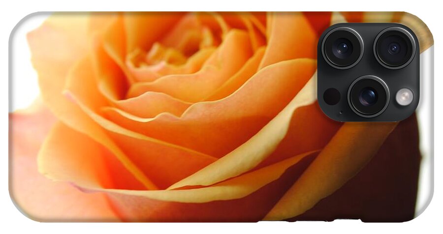 Orange Rose On White - Phone Case