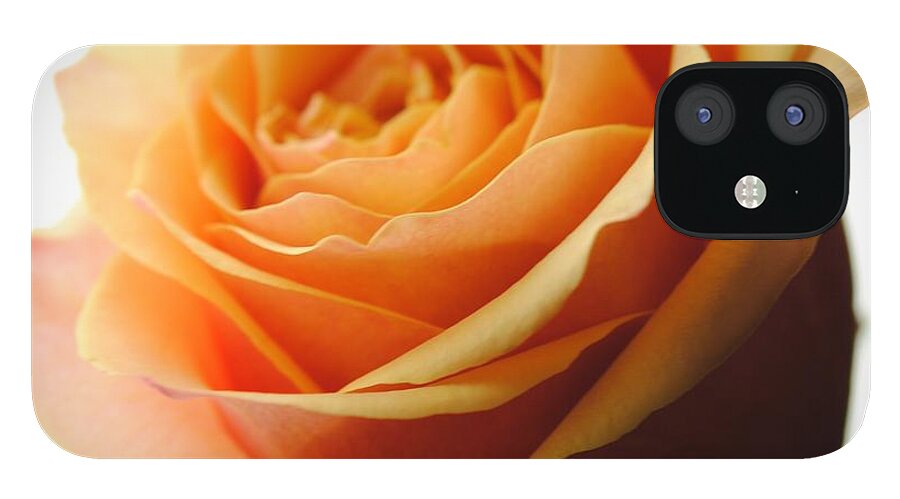 Orange Rose On White - Phone Case
