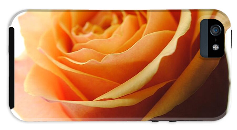 Orange Rose On White - Phone Case