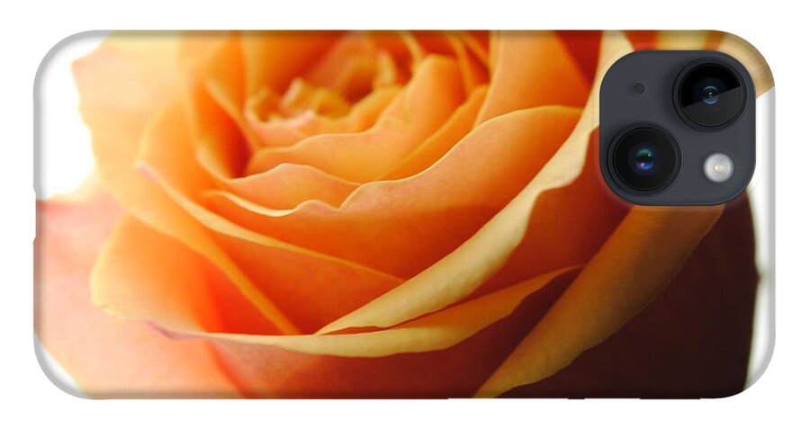 Orange Rose On White - Phone Case