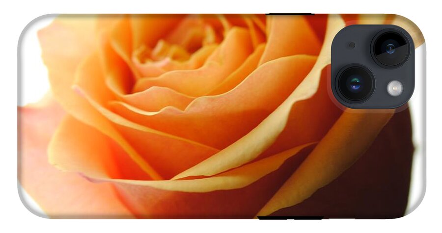 Orange Rose On White - Phone Case