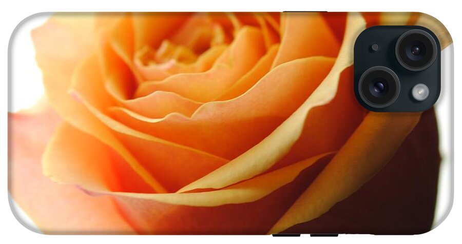 Orange Rose On White - Phone Case