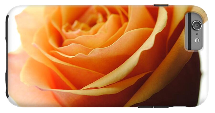 Orange Rose On White - Phone Case