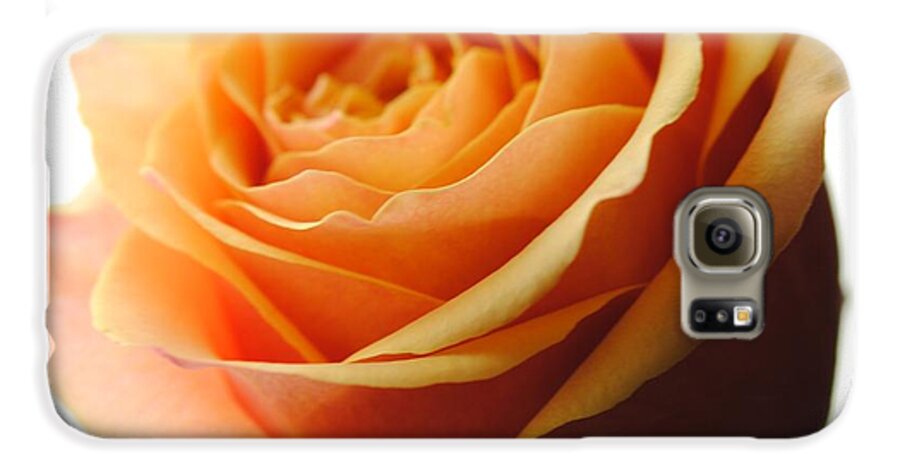 Orange Rose On White - Phone Case
