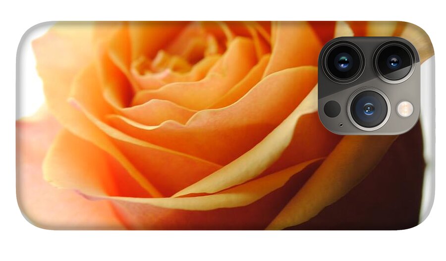Orange Rose On White - Phone Case