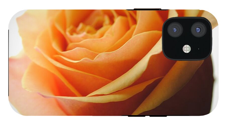 Orange Rose On White - Phone Case