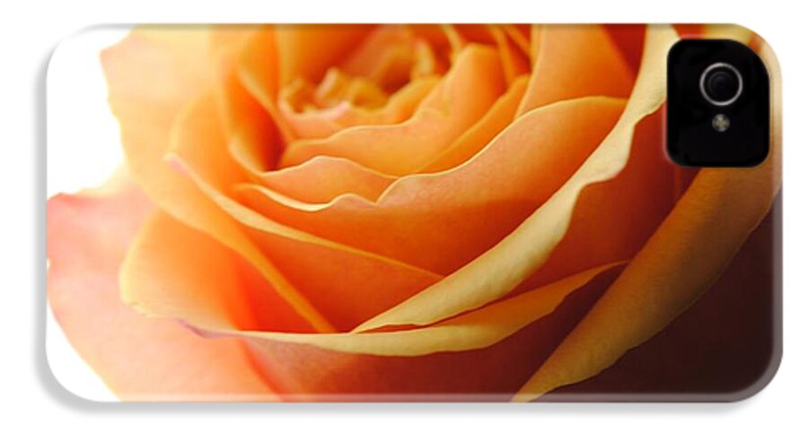 Orange Rose On White - Phone Case