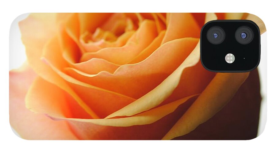 Orange Rose On White - Phone Case