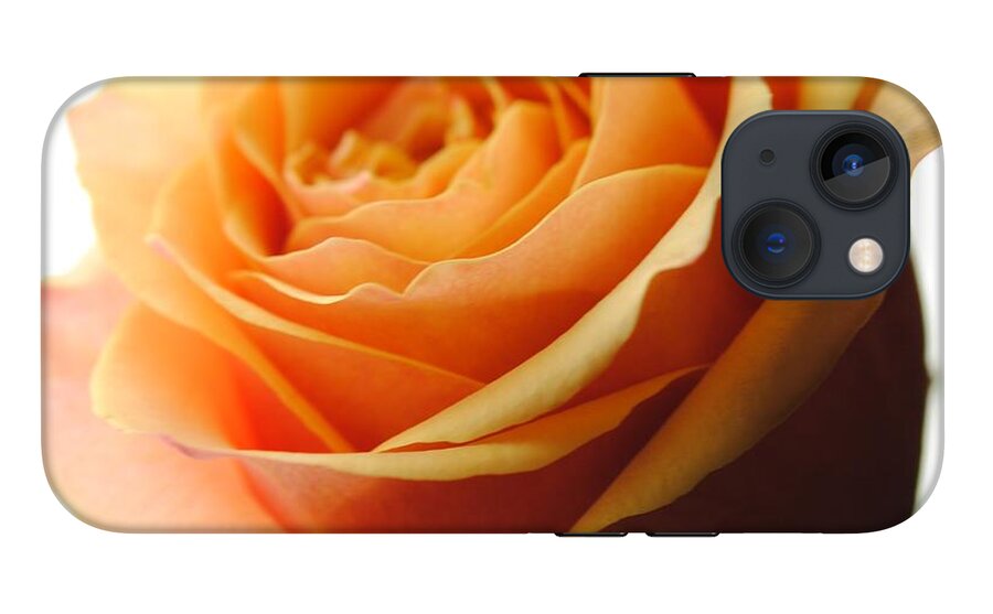 Orange Rose On White - Phone Case