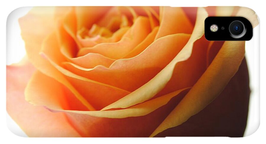 Orange Rose On White - Phone Case