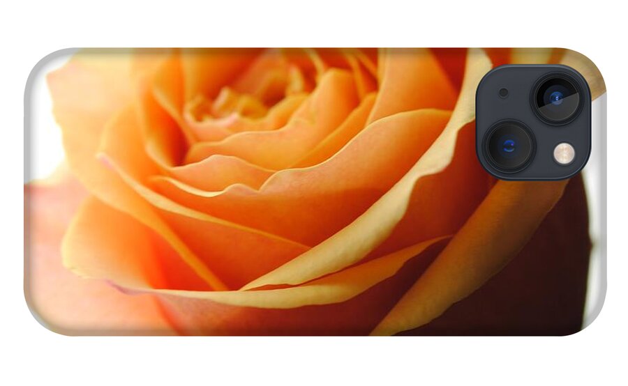 Orange Rose On White - Phone Case