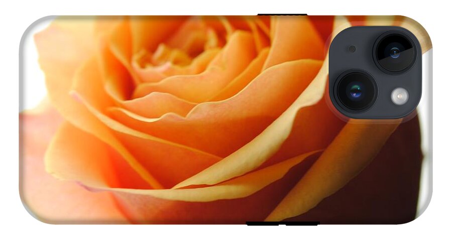 Orange Rose On White - Phone Case