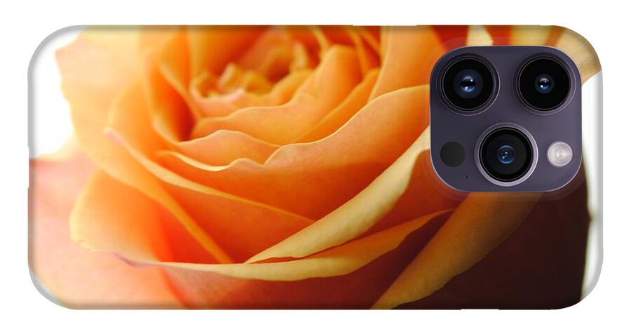 Orange Rose On White - Phone Case