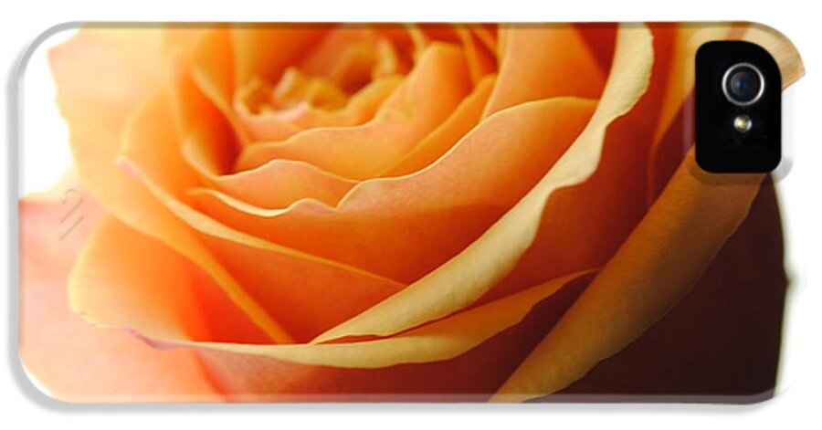 Orange Rose On White - Phone Case