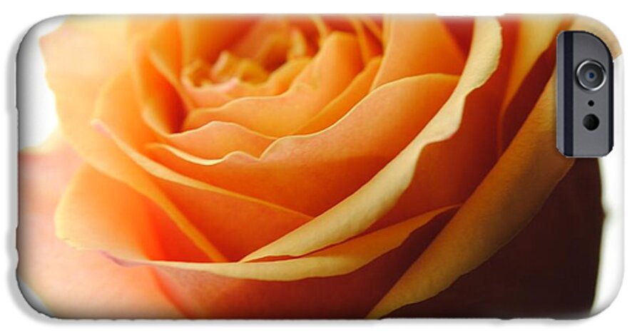 Orange Rose On White - Phone Case