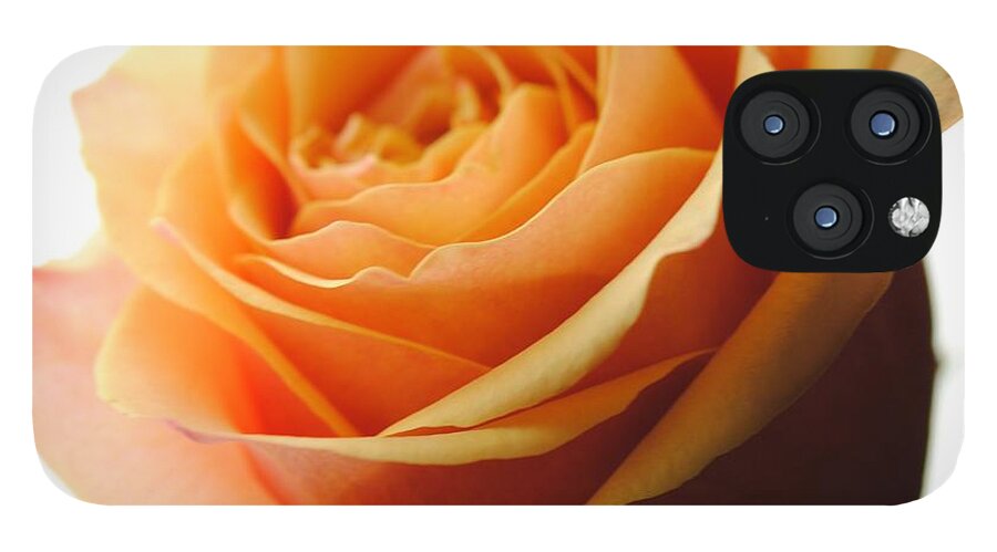 Orange Rose On White - Phone Case