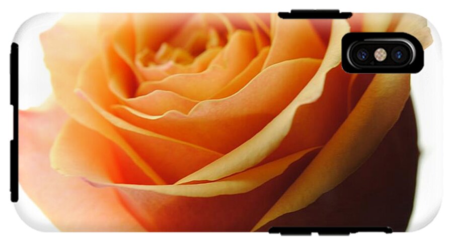 Orange Rose On White - Phone Case