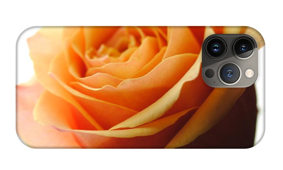 Orange Rose On White - Phone Case