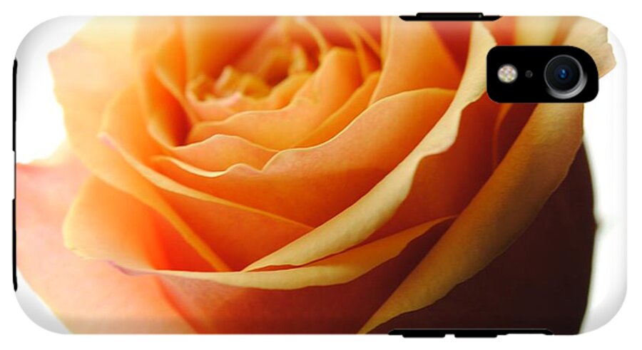Orange Rose On White - Phone Case