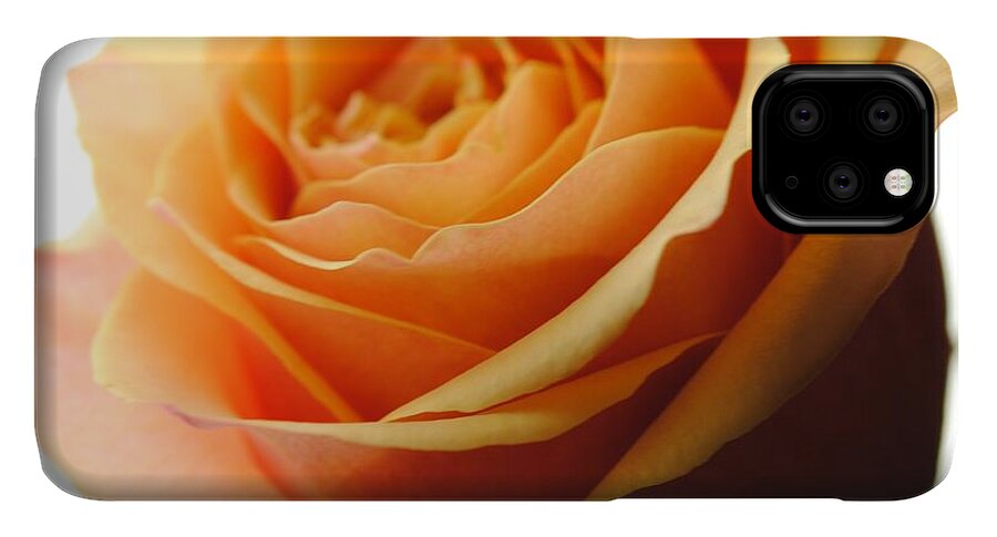 Orange Rose On White - Phone Case