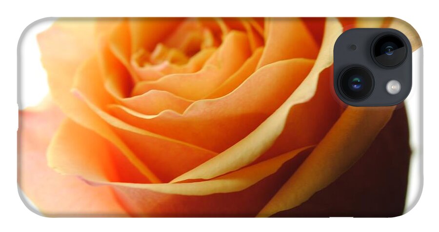 Orange Rose On White - Phone Case