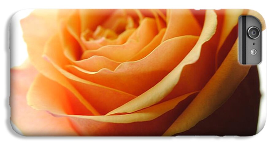Orange Rose On White - Phone Case