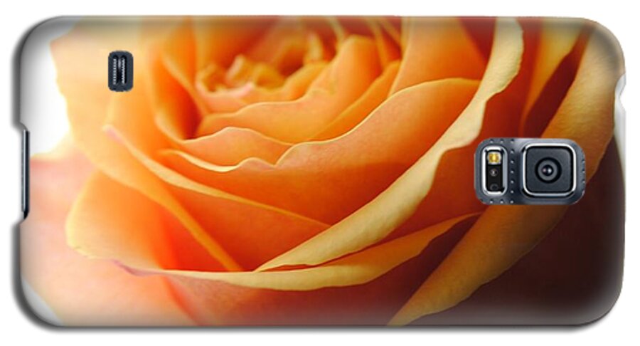 Orange Rose On White - Phone Case