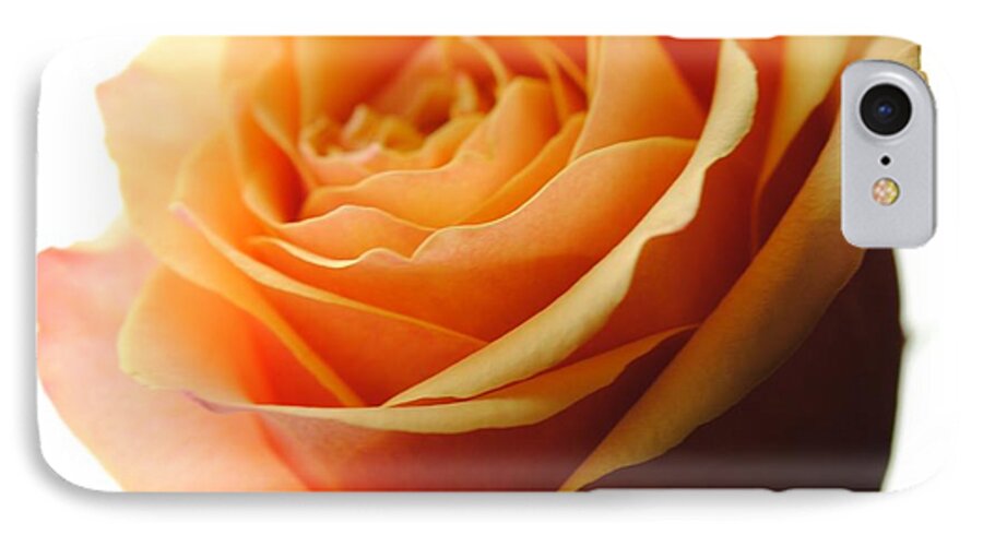Orange Rose On White - Phone Case