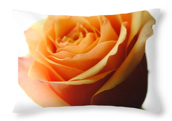 Orange Rose On White - Throw Pillow