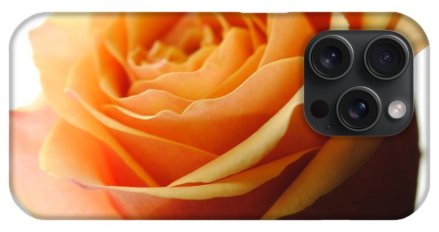 Orange Rose On White - Phone Case