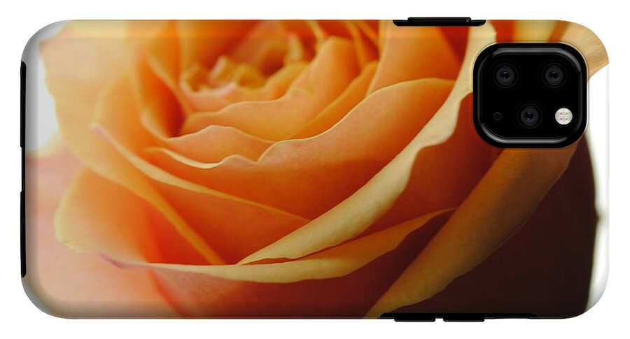 Orange Rose On White - Phone Case
