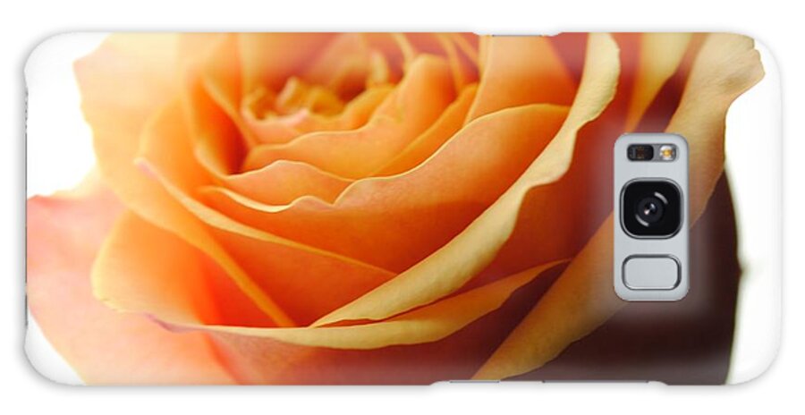 Orange Rose On White - Phone Case