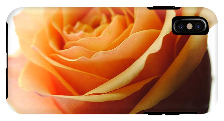 Orange Rose On White - Phone Case