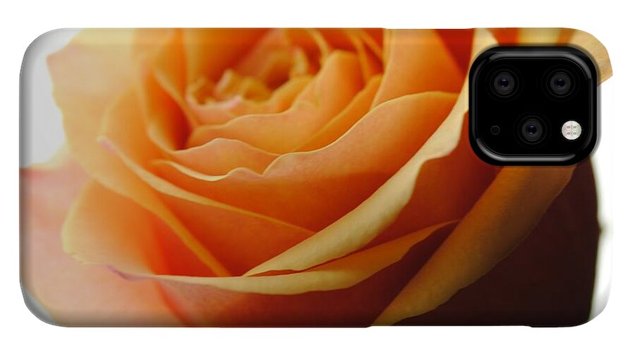 Orange Rose On White - Phone Case