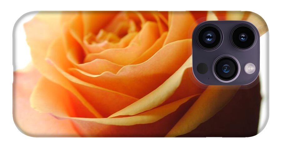 Orange Rose On White - Phone Case