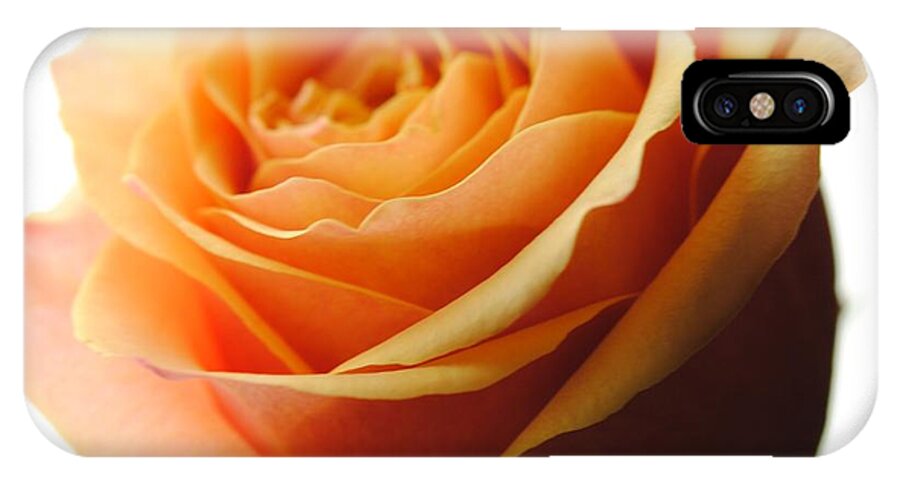 Orange Rose On White - Phone Case