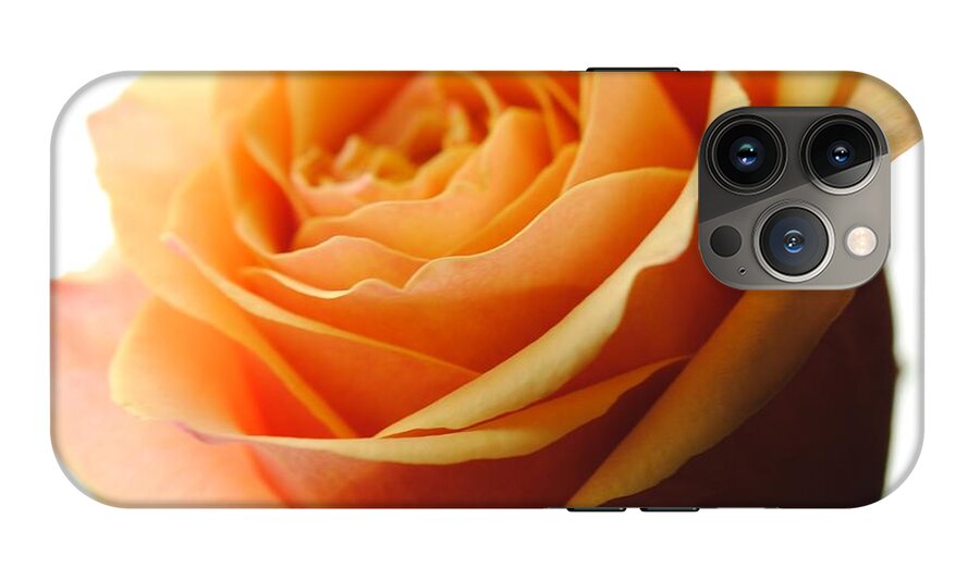 Orange Rose On White - Phone Case