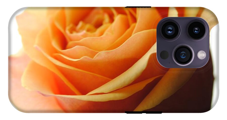 Orange Rose On White - Phone Case