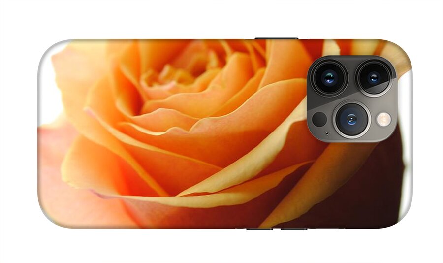 Orange Rose On White - Phone Case