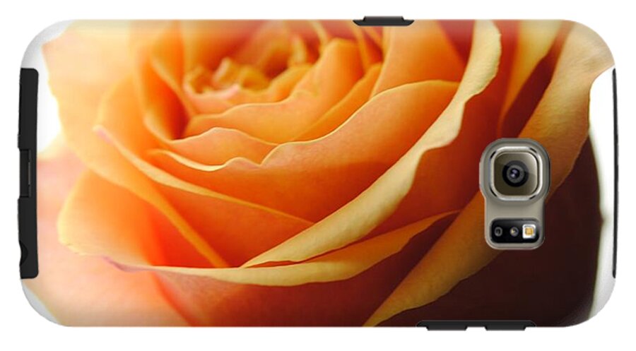 Orange Rose On White - Phone Case