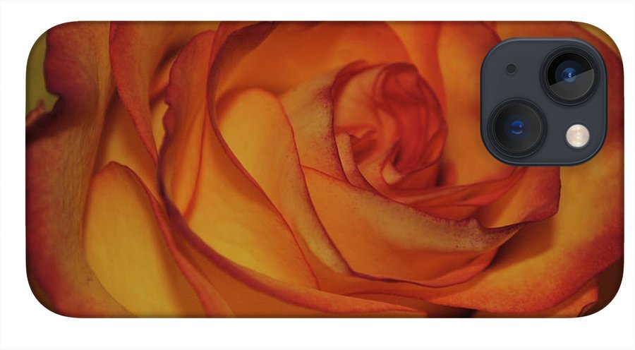 Orange Rose Portrait - Phone Case