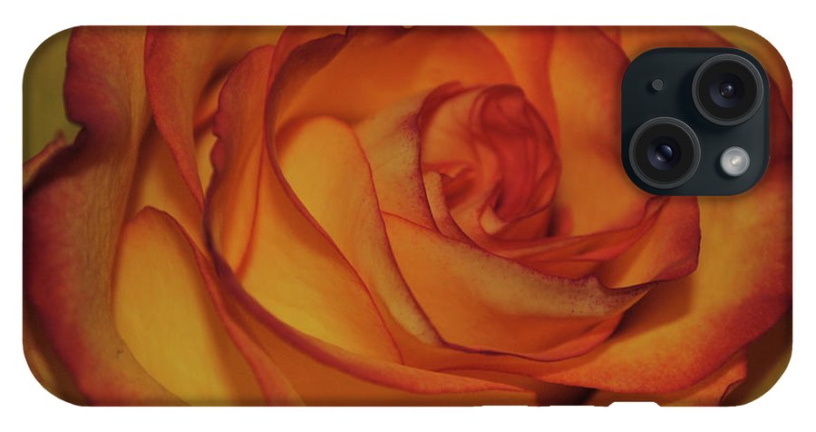 Orange Rose Portrait - Phone Case