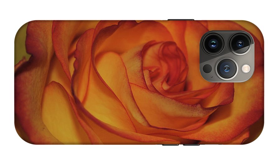 Orange Rose Portrait - Phone Case