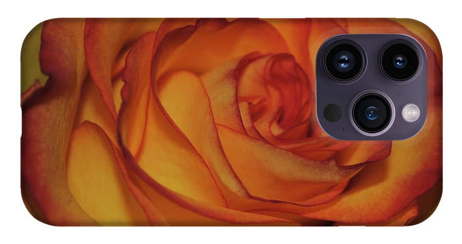 Orange Rose Portrait - Phone Case